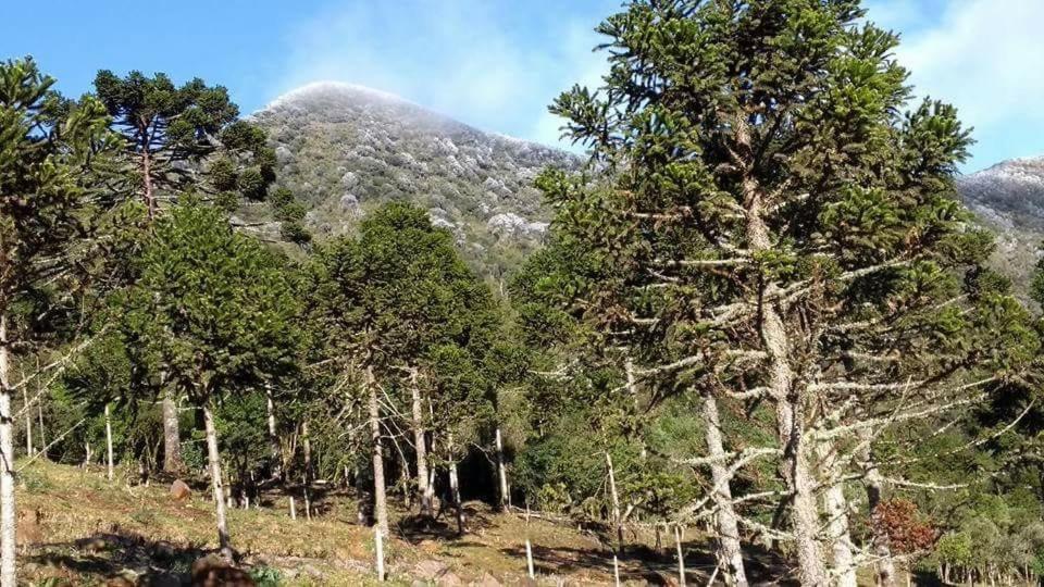 Fazenda Morro Das Torres Urupema Exteriör bild